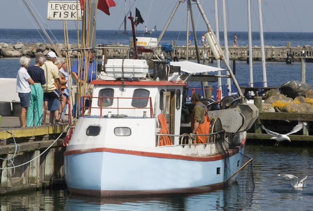 Ballen Badehotel Tranebjerg Eksteriør bilde